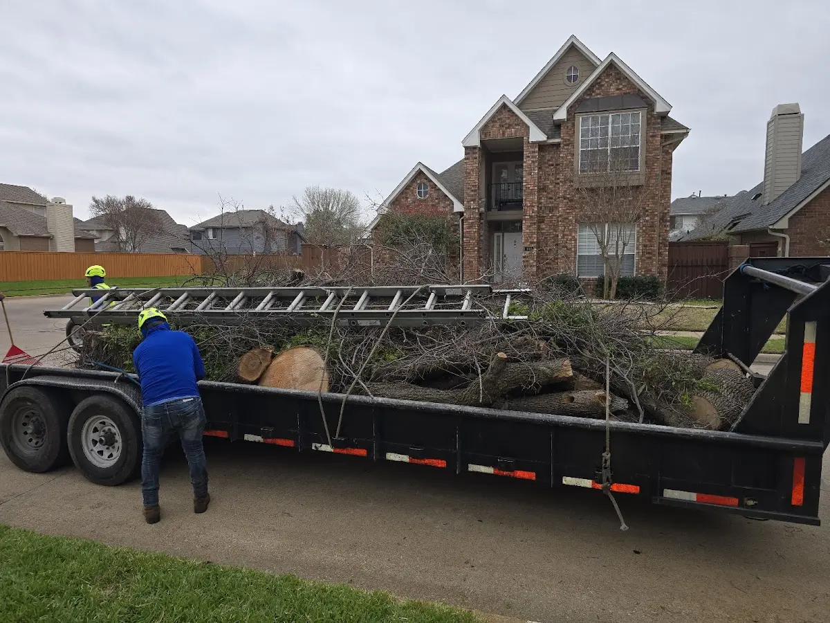 Expert Tree Fertilization with proper safety equipment in Briggsdale